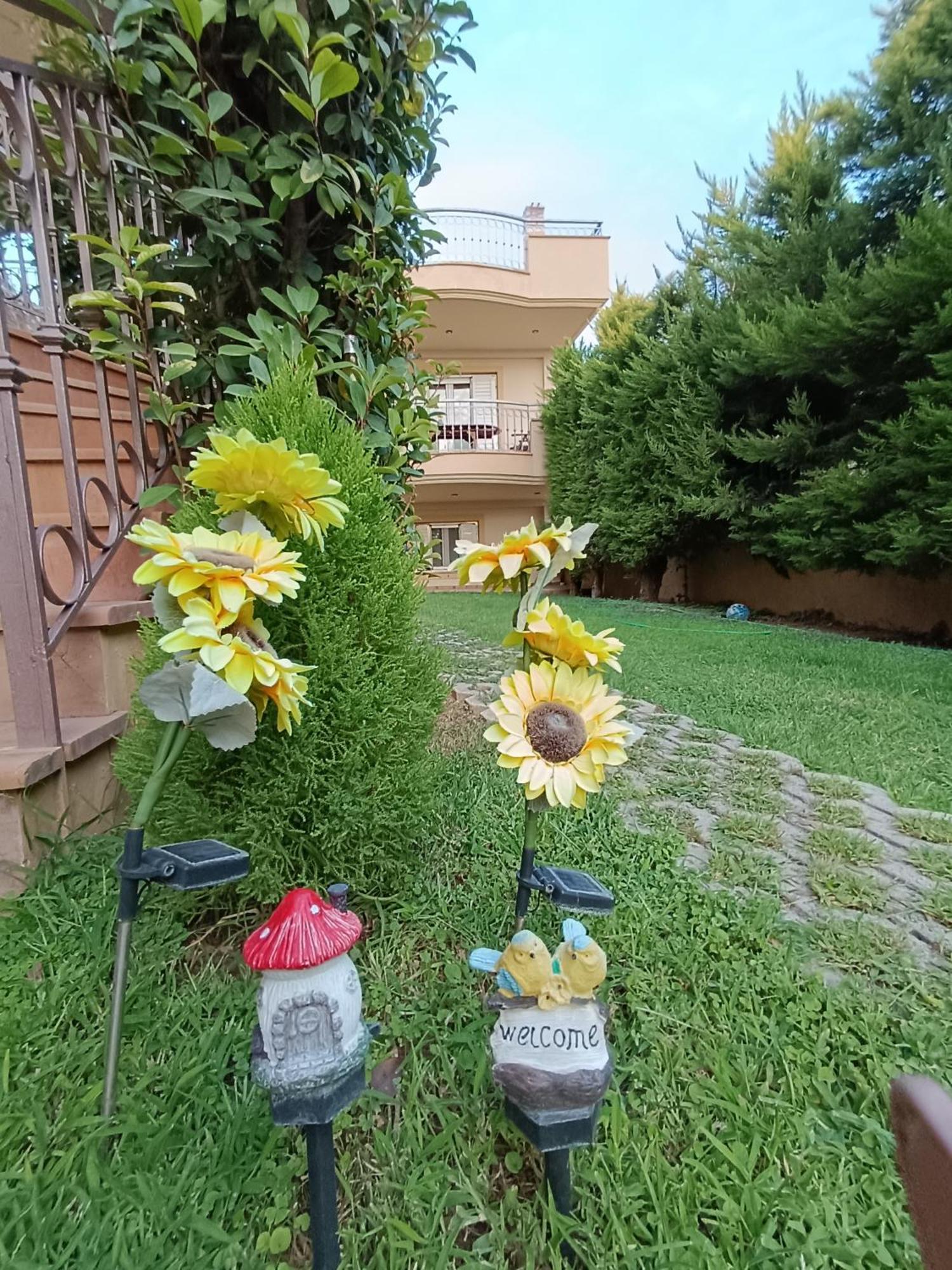 Villa Nefelyfamilyhouse2 Lagonisi